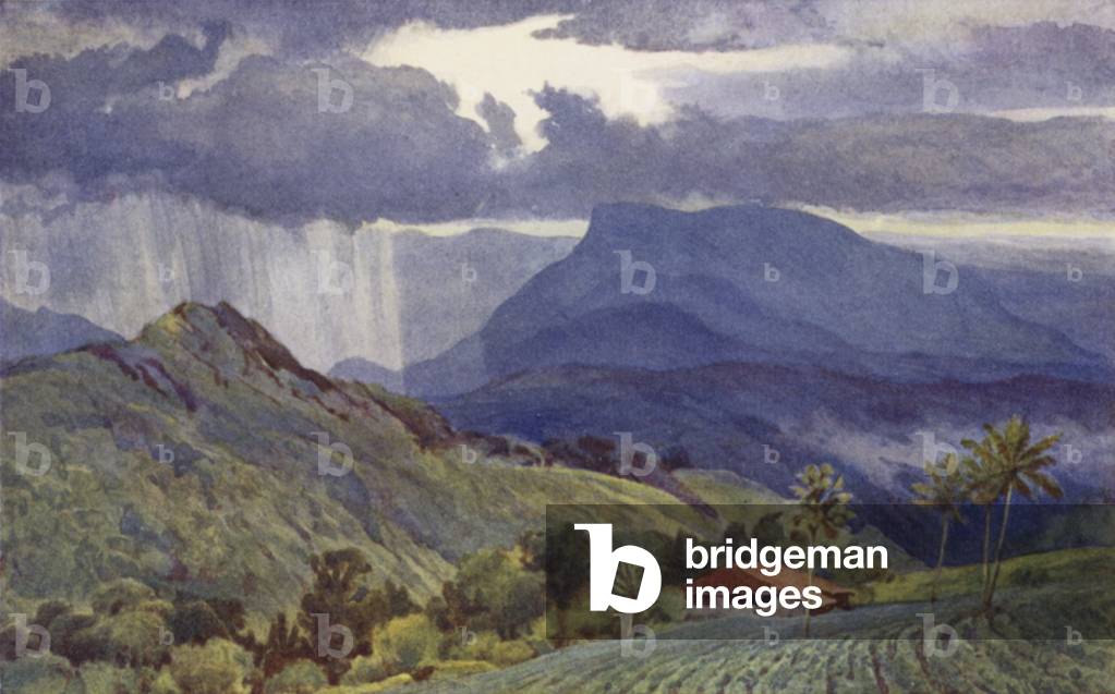 A Tropical Shower (colour litho)