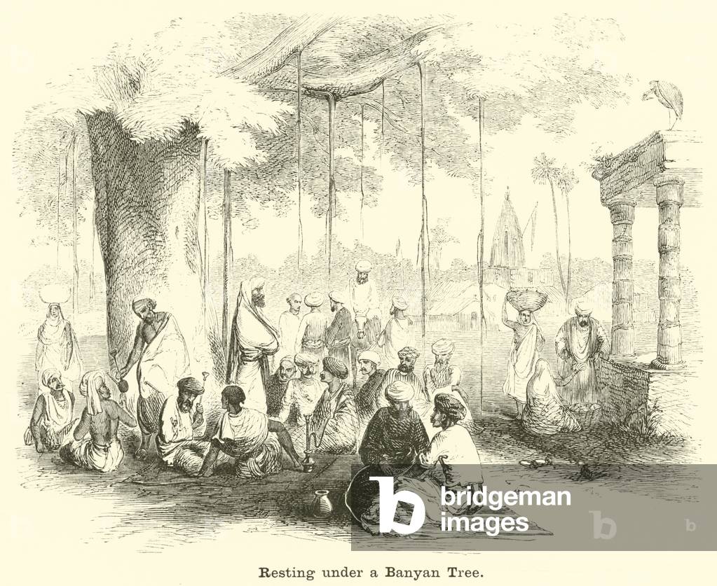 Resting under a Banyan Tree (engraving)