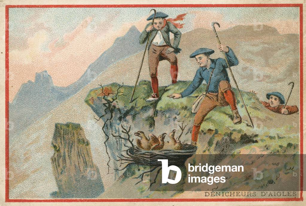 Trade card with an image of men stealing eagle eggs (chromolitho)