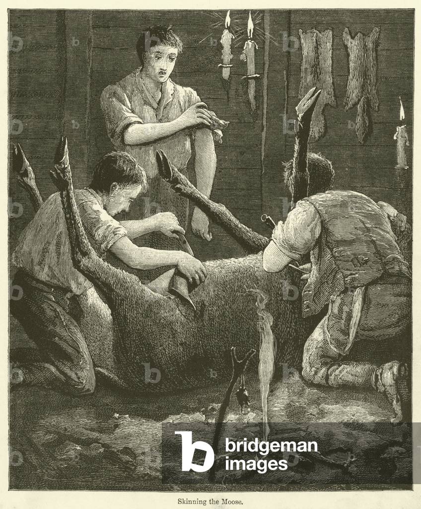 Skinning the Moose (engraving)