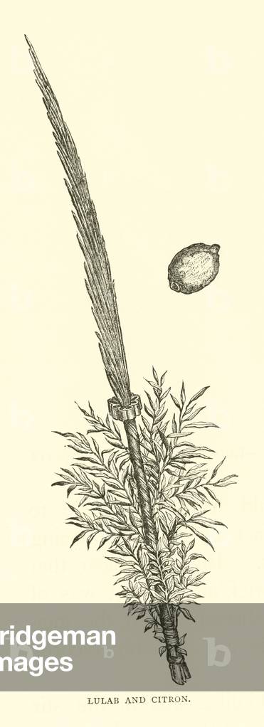Lulab and Citron (engraving)