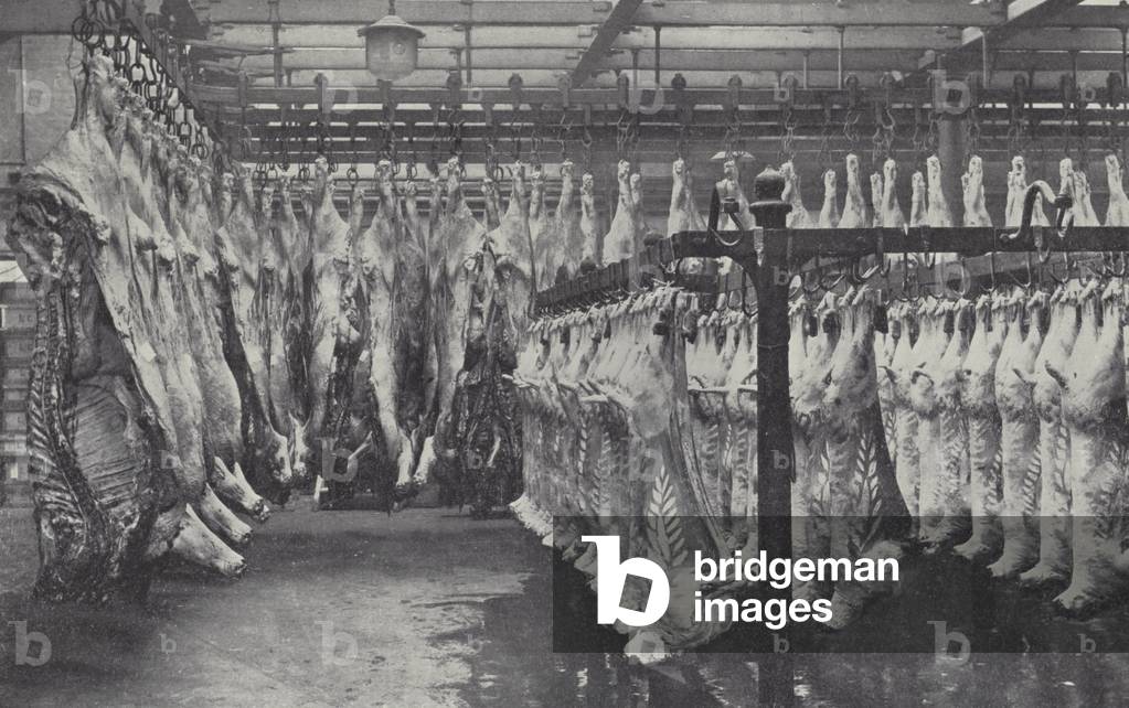 A Section of the London Co-operative Society's Abattoir (b/w photo)