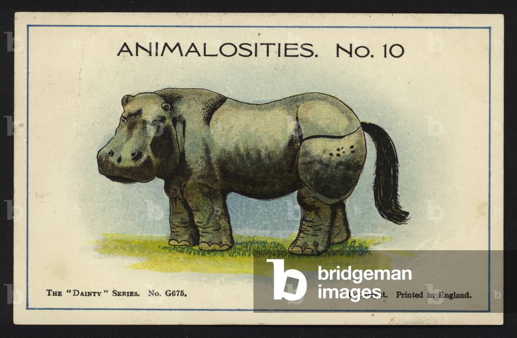 Animalosities No 10: Hippopotamus, Rhinoceros, Elephant, Horse (colour litho)