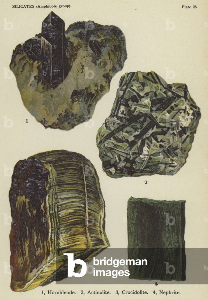 Silicates (amphibole group), hornblende, actinolite, crocidolite, nephrite (colour litho)