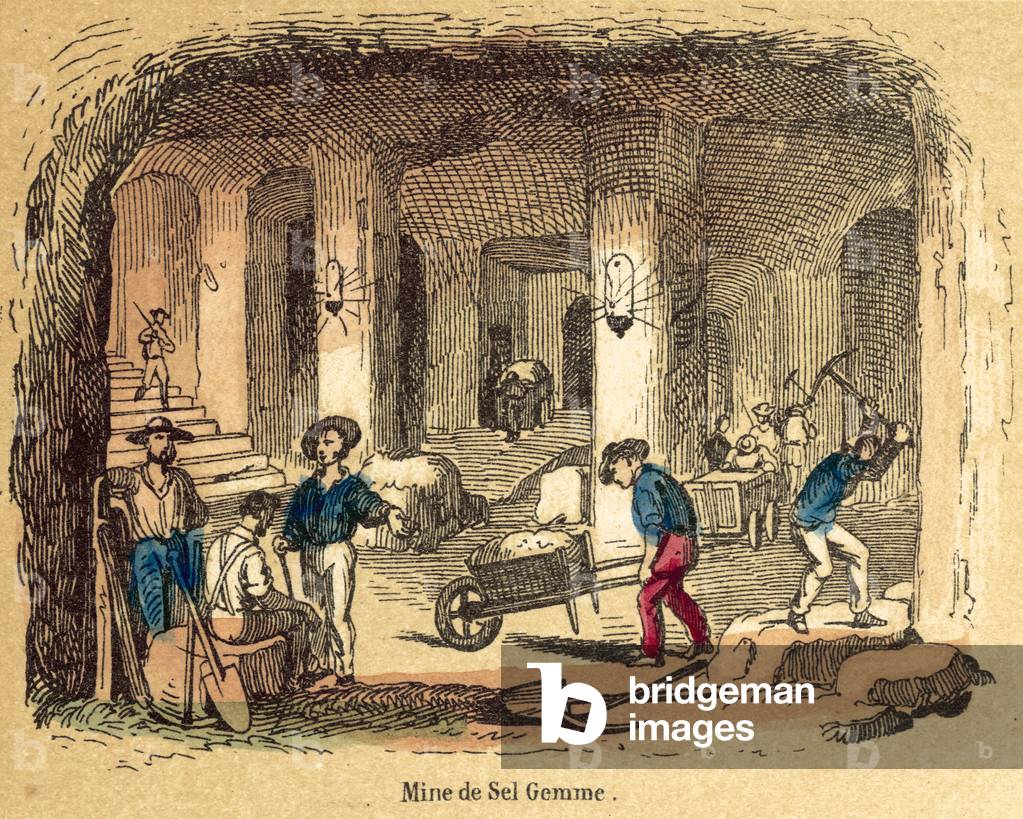 Salt (coloured engraving)