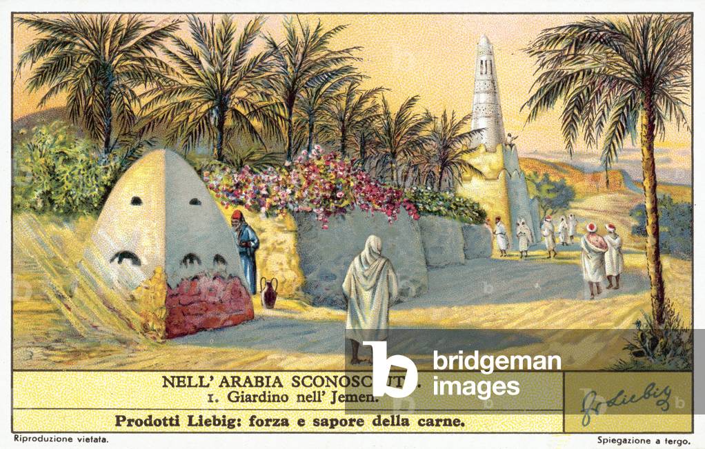 Garden in Yemen (chromolitho)