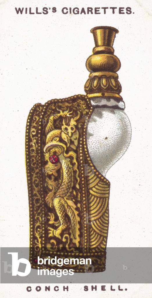 Conch Shell (chromolitho)