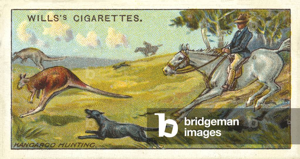 Australia, Kangaroo Hunting (chromolitho)