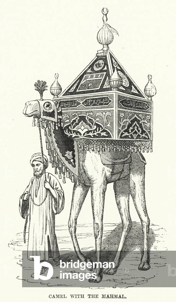 Camel with the Mahmal (engraving)