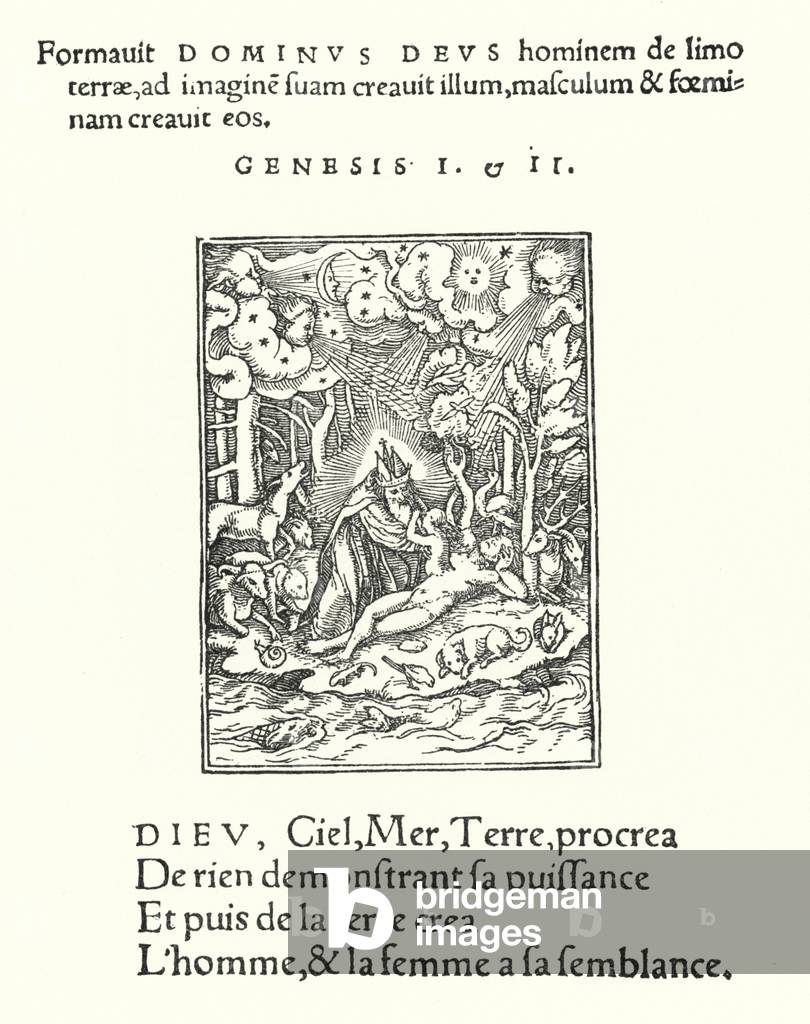 The Creation (engraving)