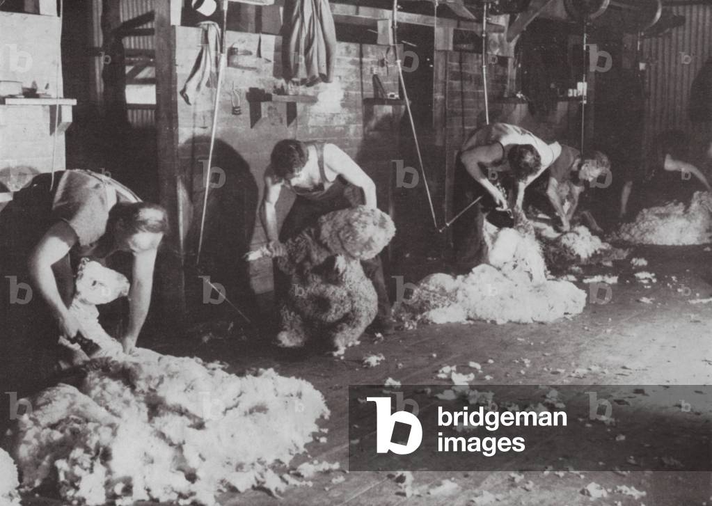 A truly Australian study of a Shearing Shed (b/w photo)