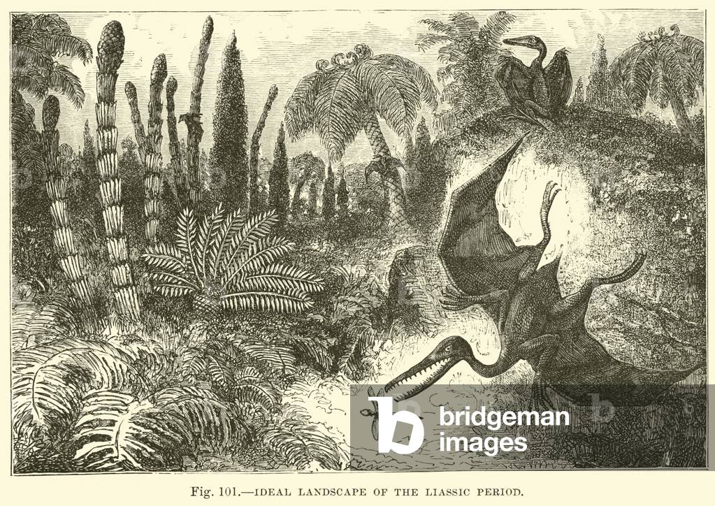 Ideal Landscape of the Liassic Period (engraving)
