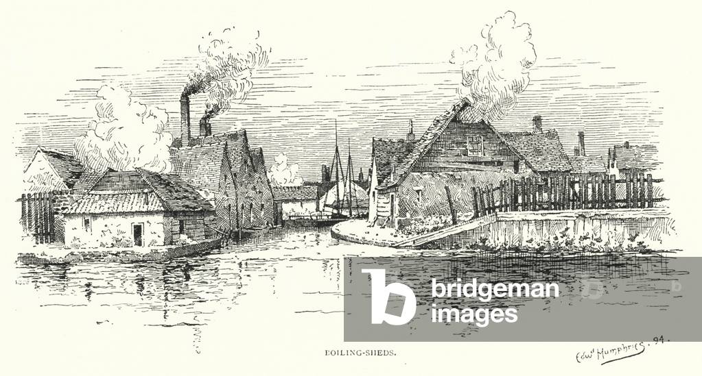 Boiling-Sheds (engraving)