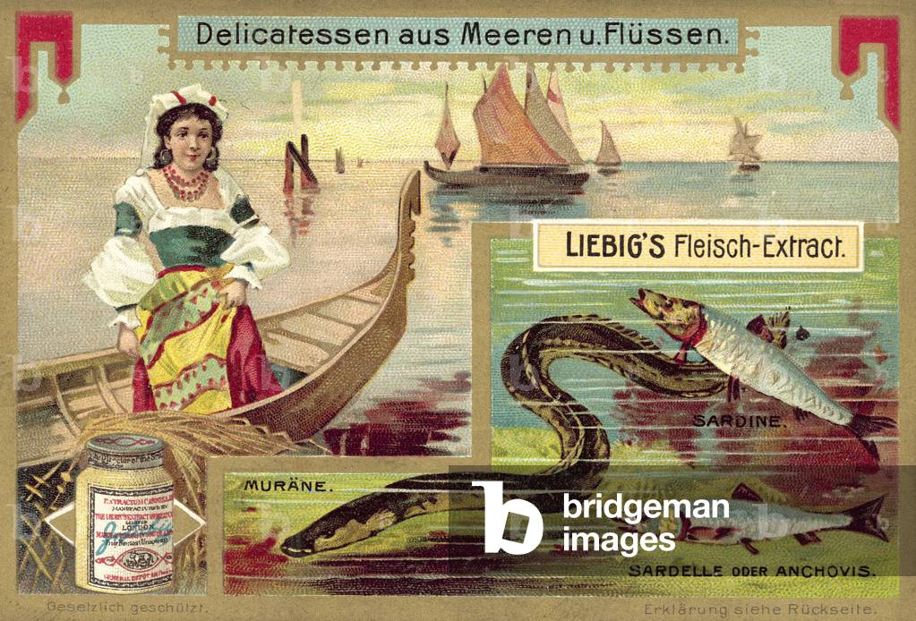 Eel, sardine and anchovy (chromolitho)