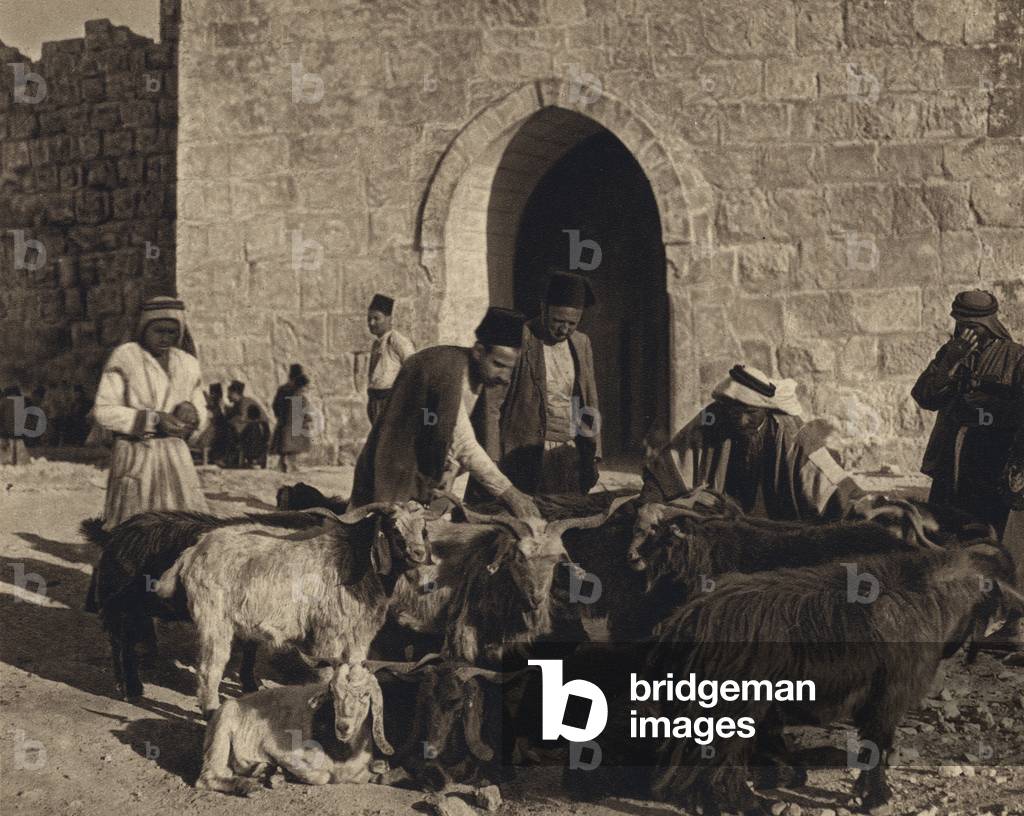 Jerusalem, Market at the Gate of Herod (b/w photo)