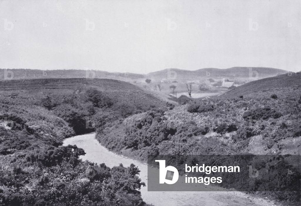 Pretty Corner, Cromer (b/w photo)