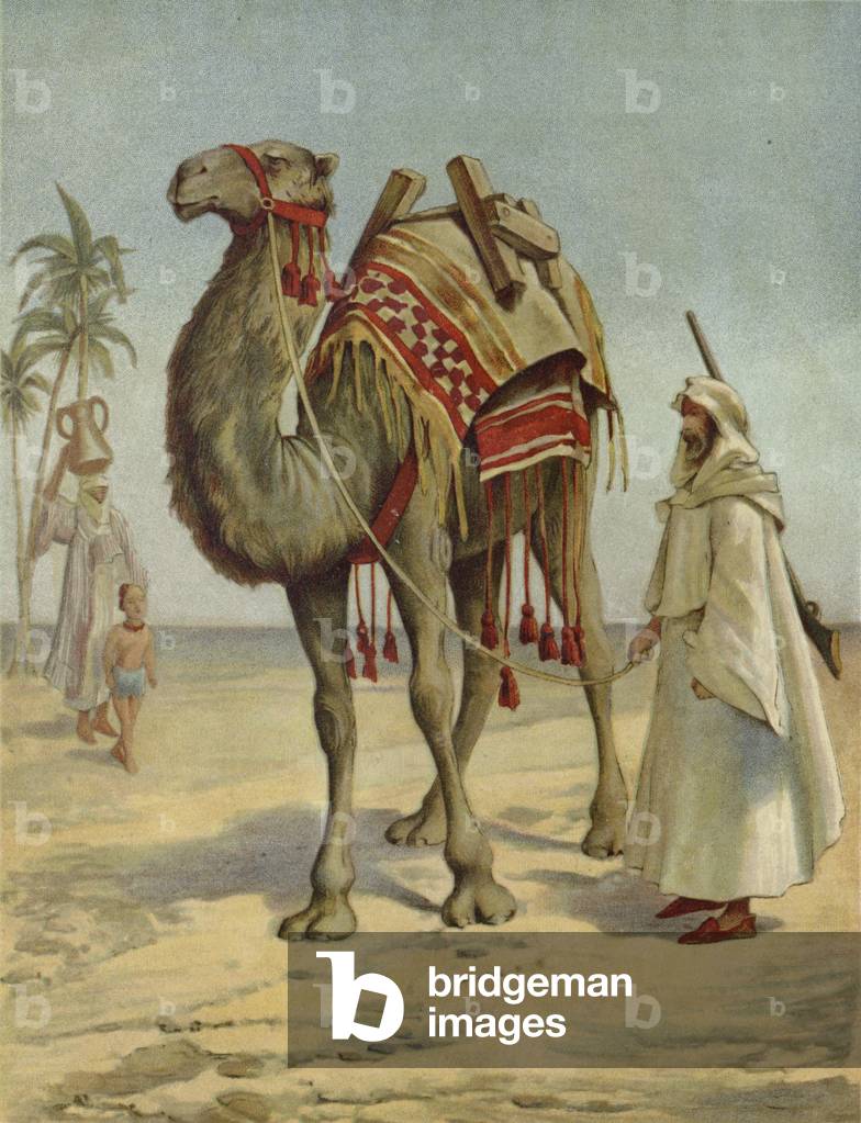 An Arab Merchant (chromolitho)