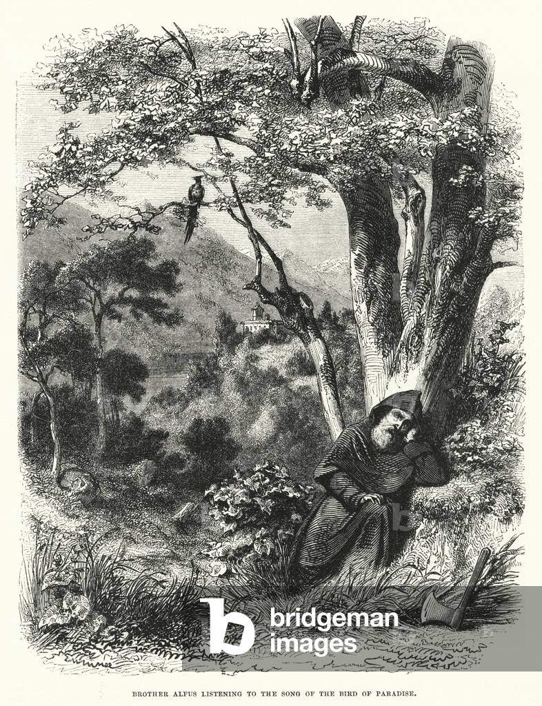 Brother Alfus listening to the song of the bird of paradise (engraving)