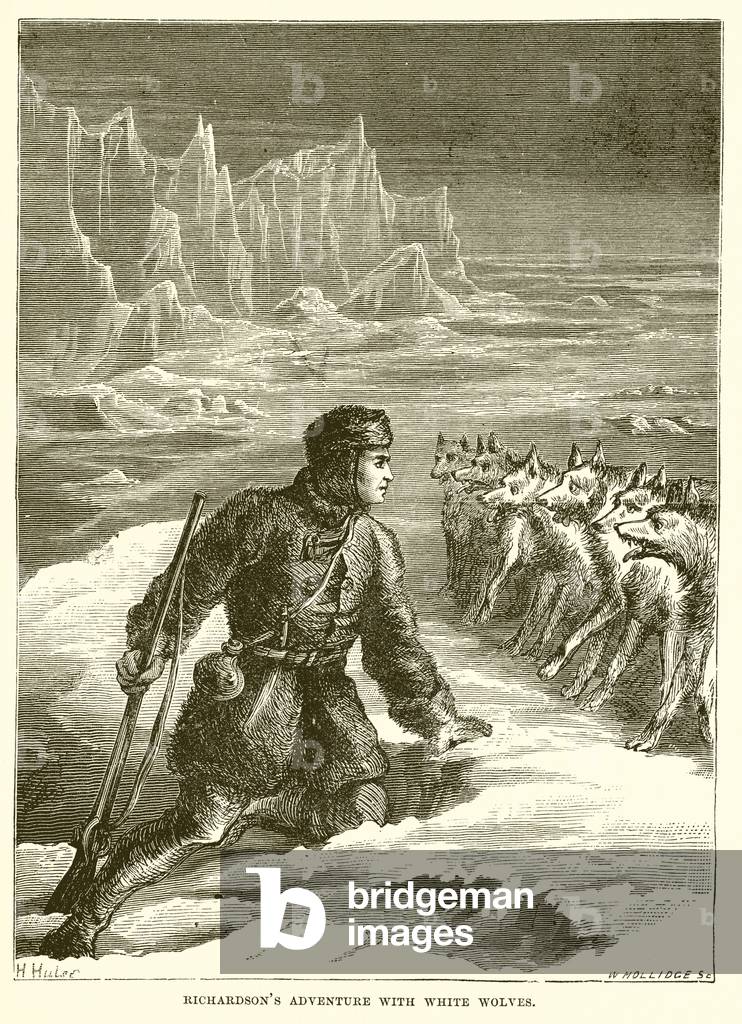 Richardson's Adventure with White Wolves (engraving)