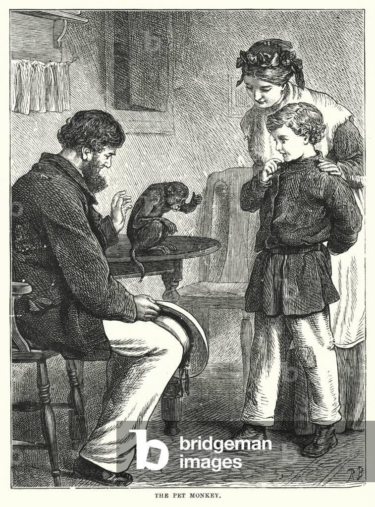 The Pet Monkey (engraving)