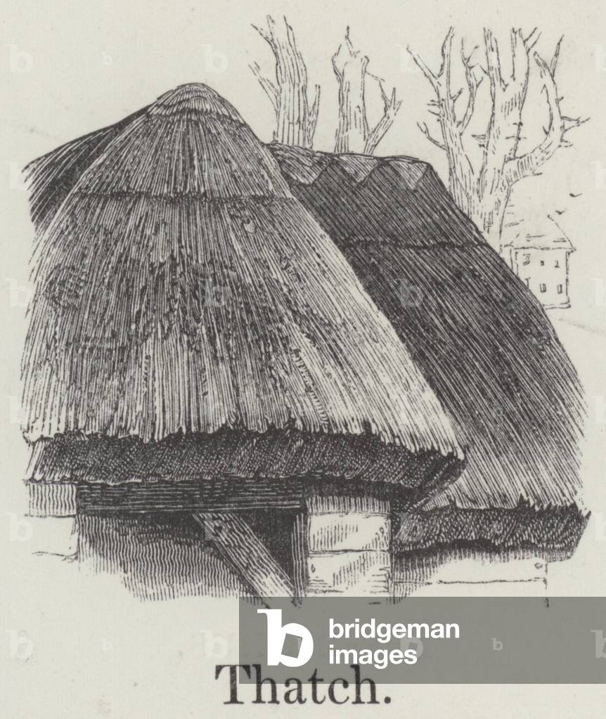 Thatch (engraving)