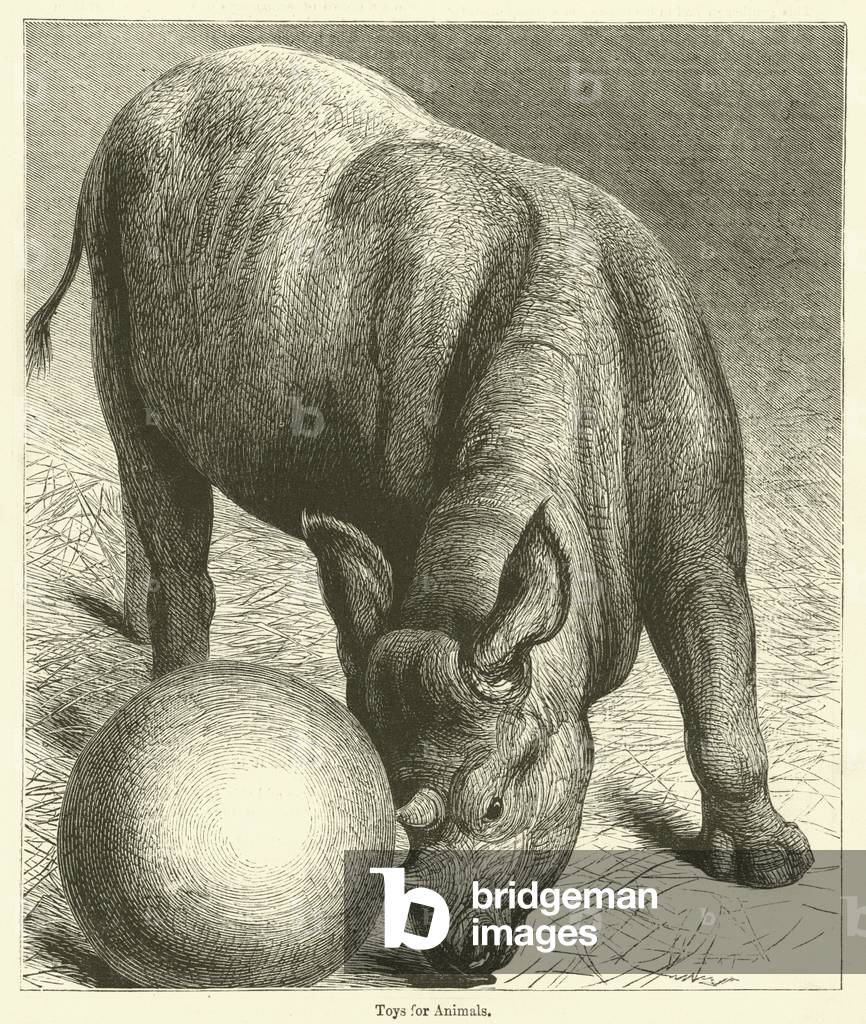 Toys for Animals (engraving)