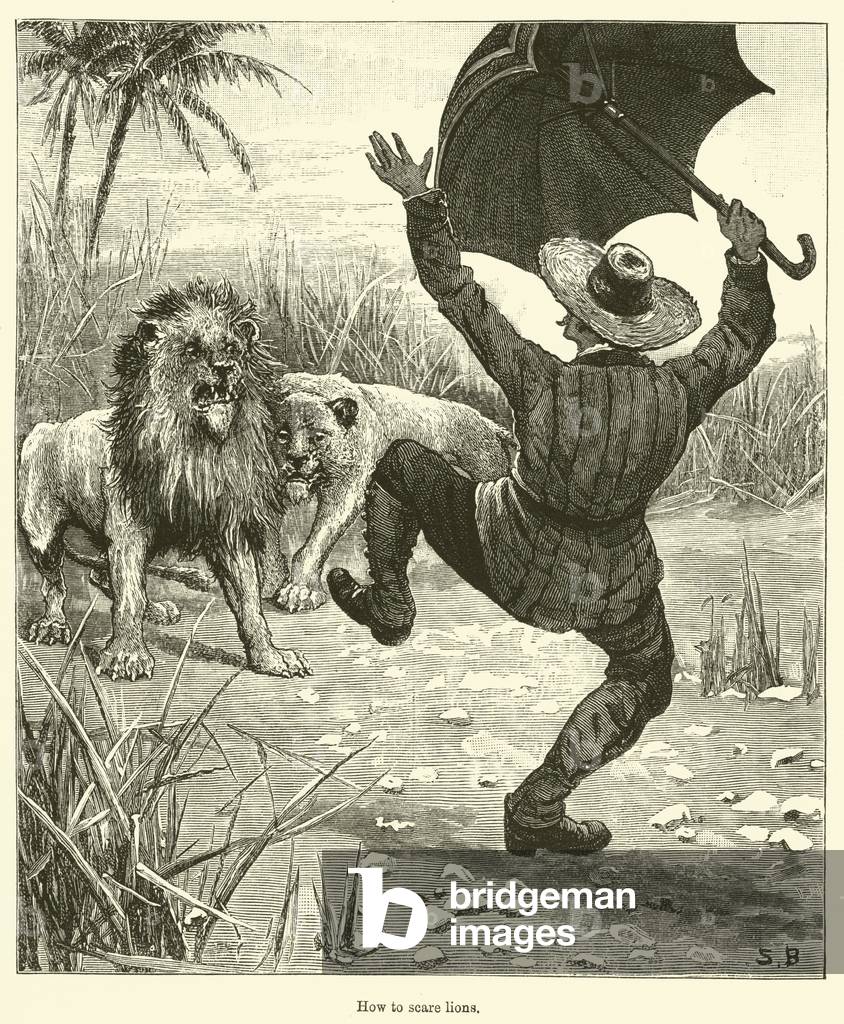 How to scare lions (engraving)
