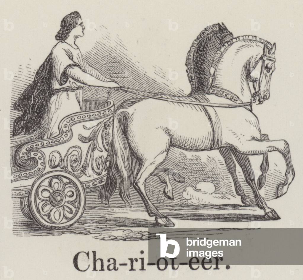 Charioteer (engraving)