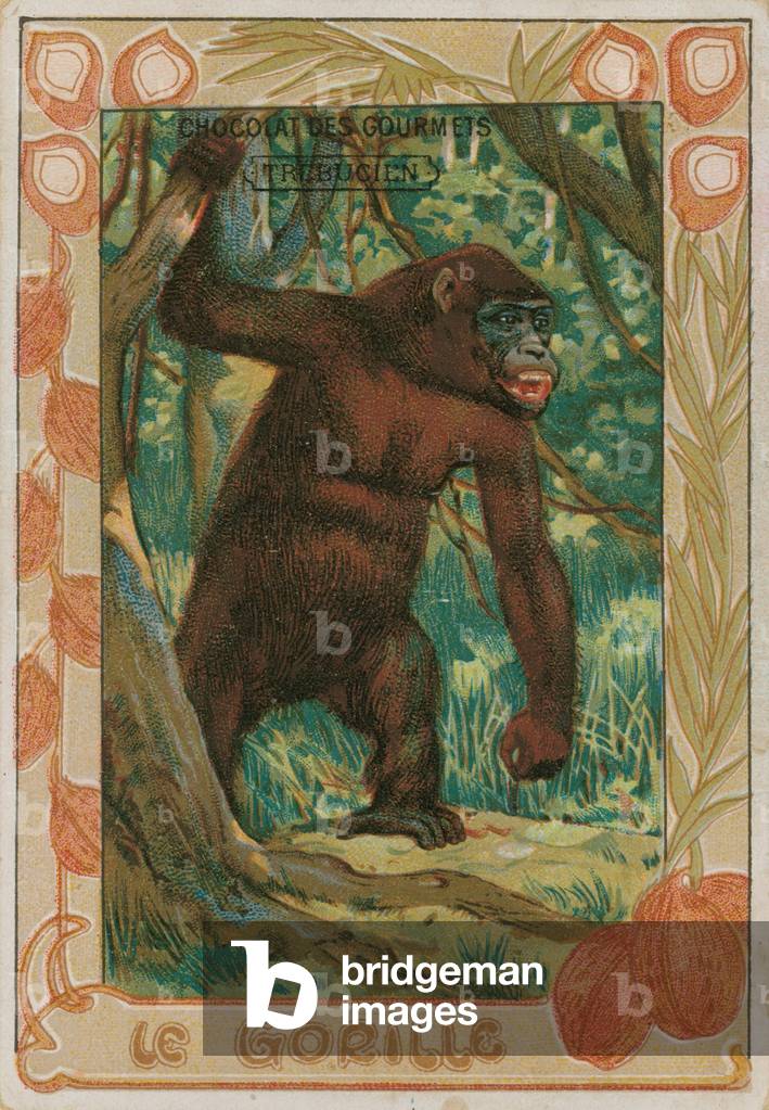 Gorilla (chromolitho)