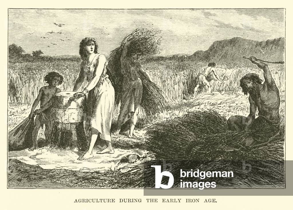 Agriculture during the Early Iron Age (engraving)