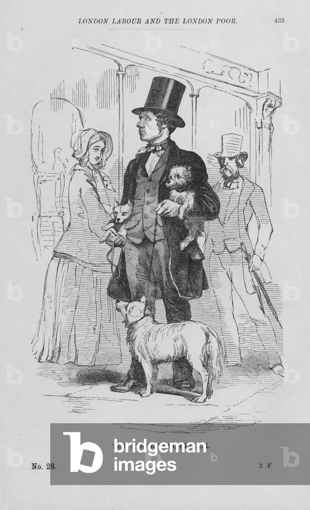 The Street Dog-Seller (engraving)