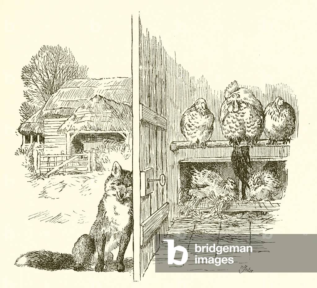 Fox outside the hen house (engraving)