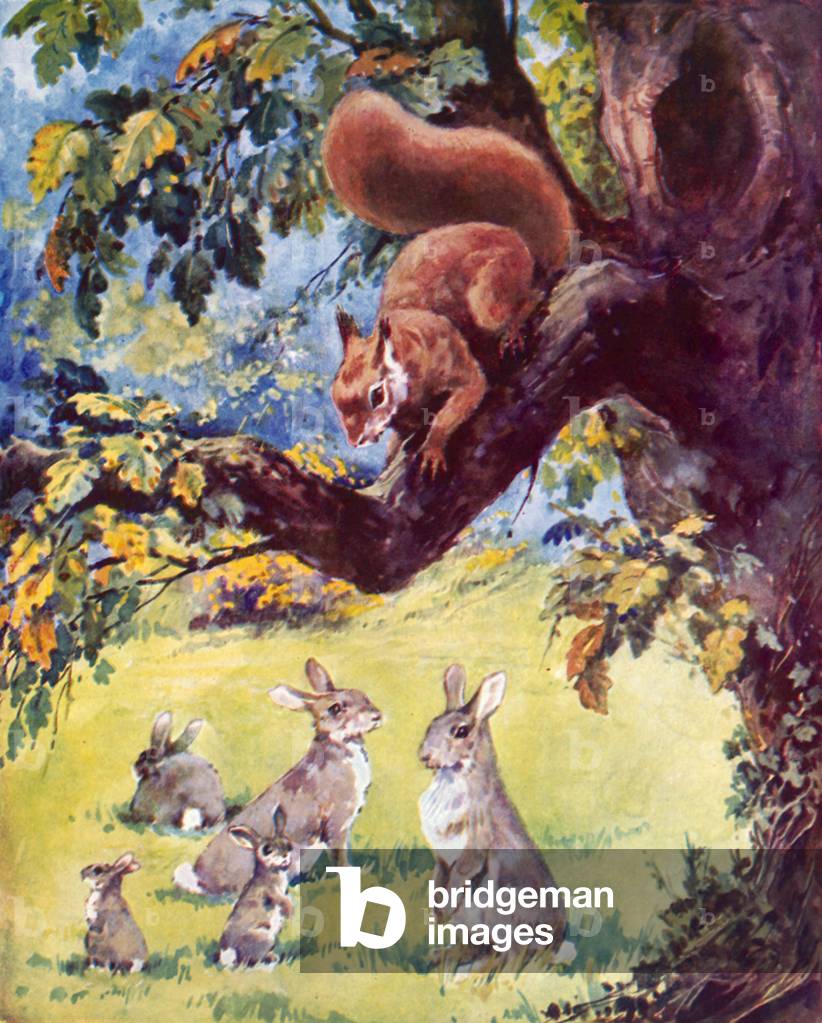 Red squirrel and rabbits (colour litho)