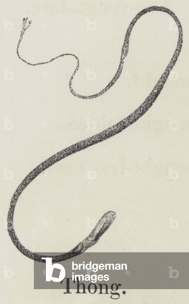 Thong (engraving)