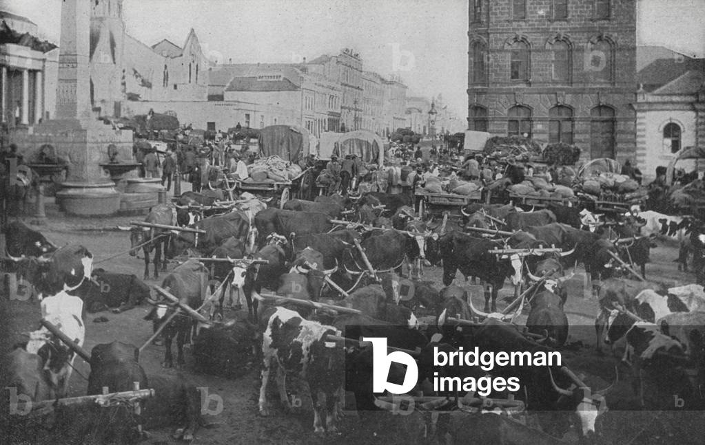 South Africa: Morning Market, Port Elizabeth (b/w photo)