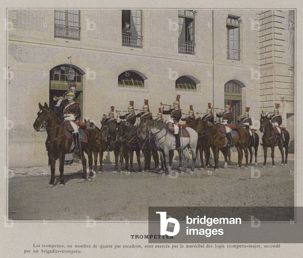 Trompettes (coloured photo)
