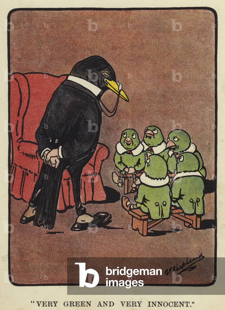 Illustration for Bubbles in Birdland (colour litho)