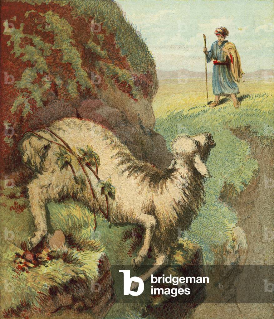 Finding the sheep (chromolitho)