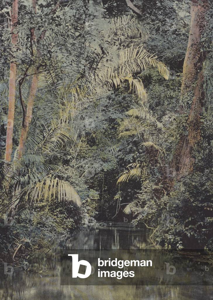 La Riviere IVI (colour photo)