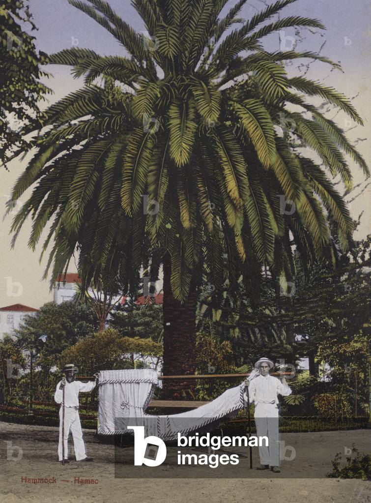 Madeira, Hammock (colour photo)