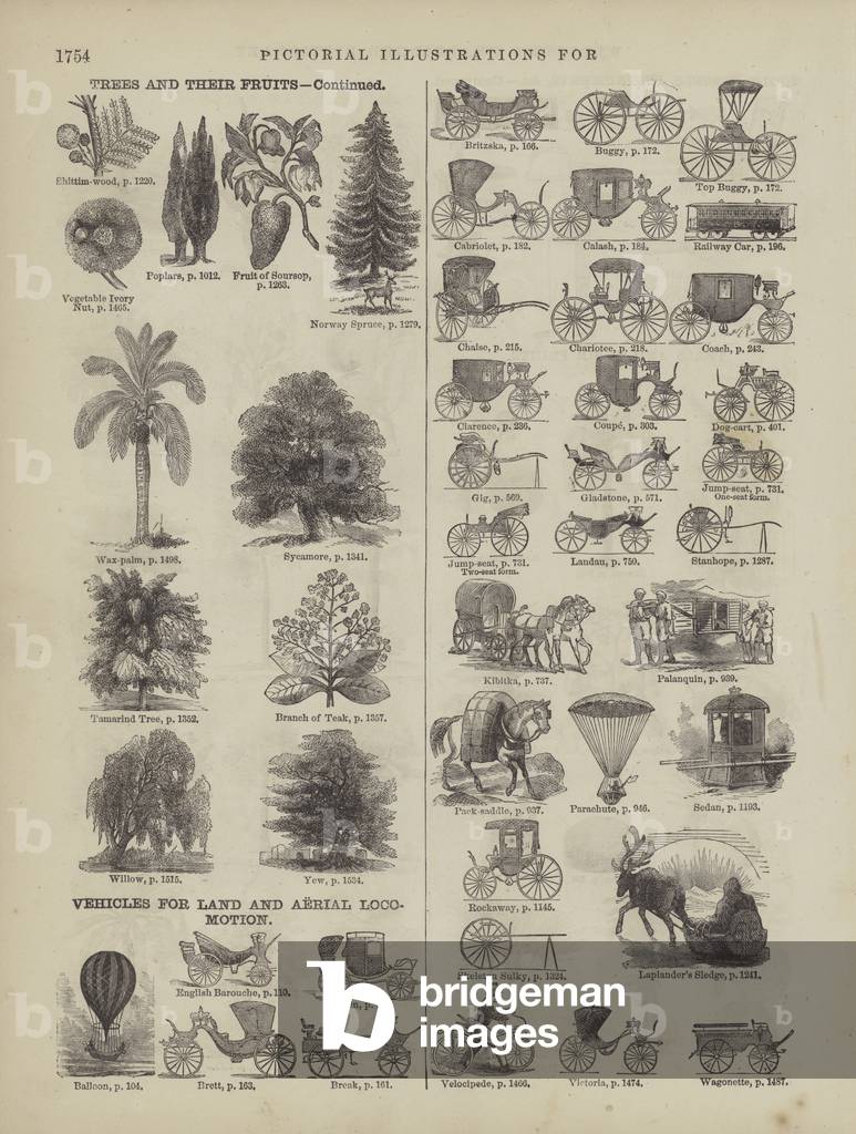 Page from Webster's Complete Dictionary (George Bell, 1877). (engraving)