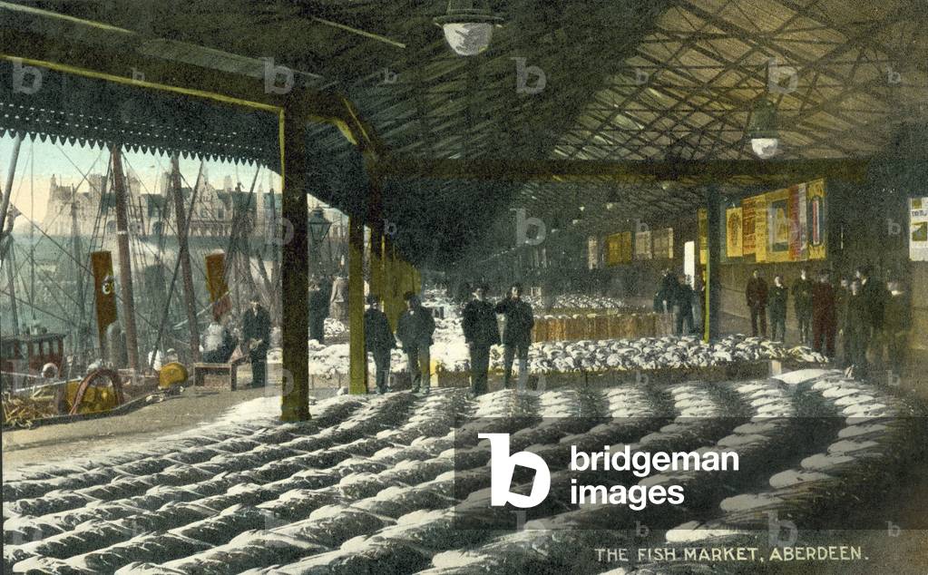 Fish Market, Aberdeen (colour photo)