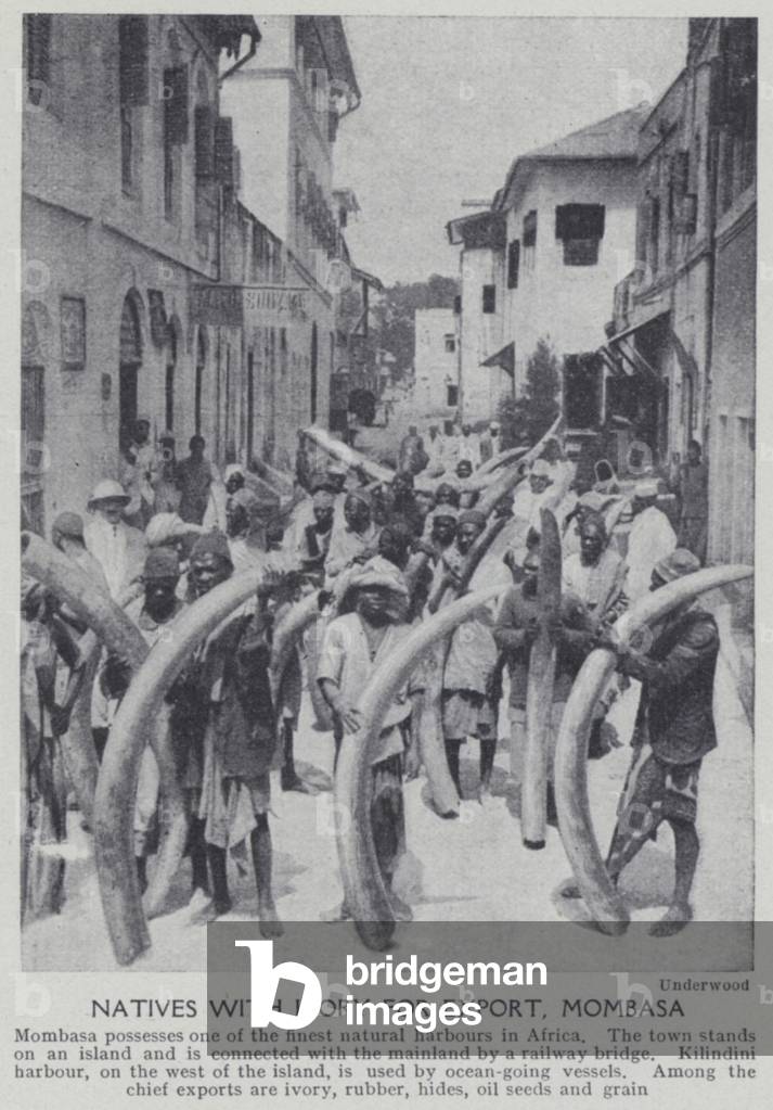 Natives with ivory for export, Mombasa (b/w photo)