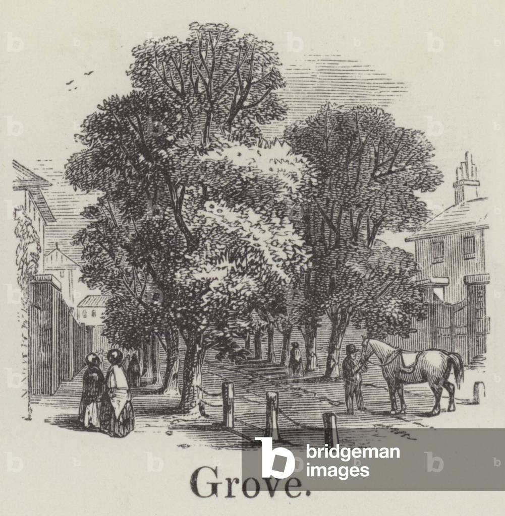 Grove (engraving)