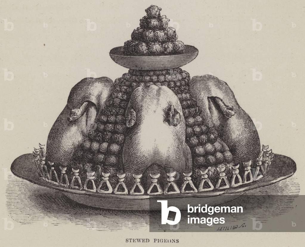Stewed Pigeons (engraving)