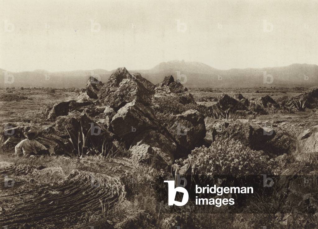 Mexico: Pedregal, Corriente de basalto-lava cerca de San Angel (b/w photo)
