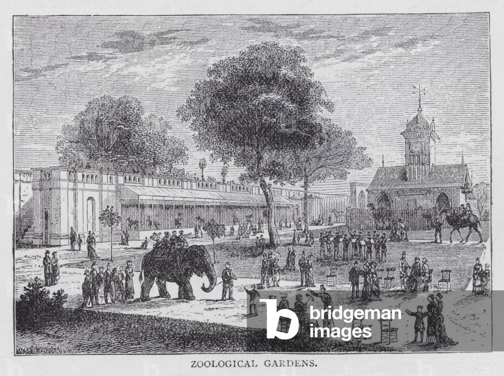 Zoological Gardens (engraving)