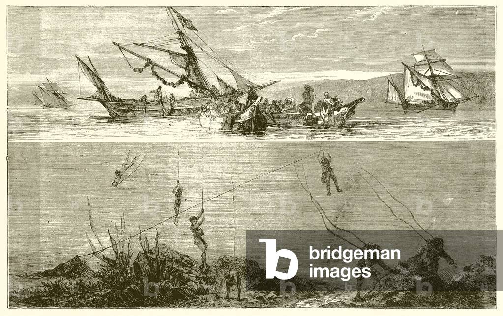 Pearl Fishing (engraving)
