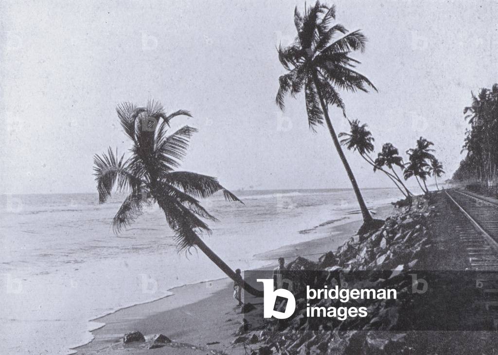 Part of the Coast Railway from Colombo to Galle (b/w photo)