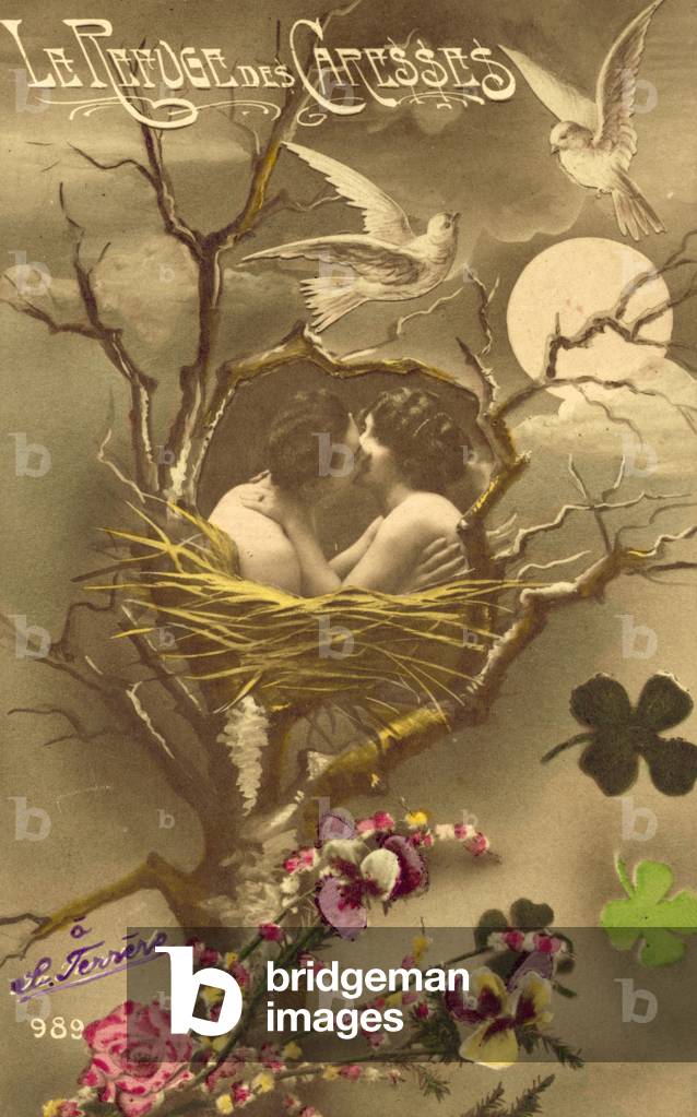 Couple embracing in a bird's nest (colour photo)